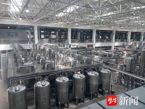 向智向新向綠 新質(zhì)生產(chǎn)力下連云港網(wǎng)絡技術(shù)的研究與實踐