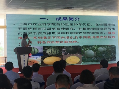浦東第十二屆農(nóng)民科技節(jié)開幕，初夏時(shí)節(jié)聚焦農(nóng)業(yè)信息咨詢